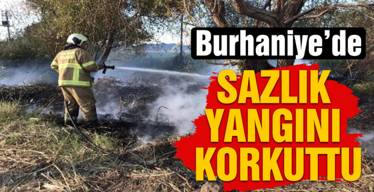Burhaniye’de sazlık yangını korkuttu