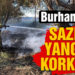 Burhaniye’de sazlık yangını korkuttu