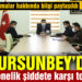 Kadına yönelik şiddete karşı toplandılar