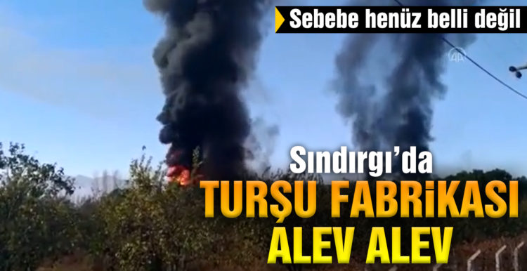 Turşu fabrikasında yangın çıktı