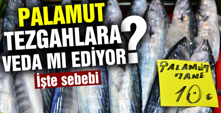 Palamut tezgahlara veda ediyor