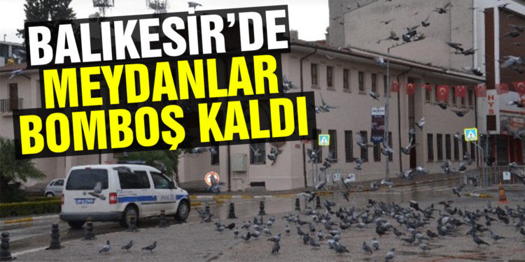 Meydanlar sokak hayvanlarına kaldı