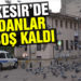 Meydanlar sokak hayvanlarına kaldı