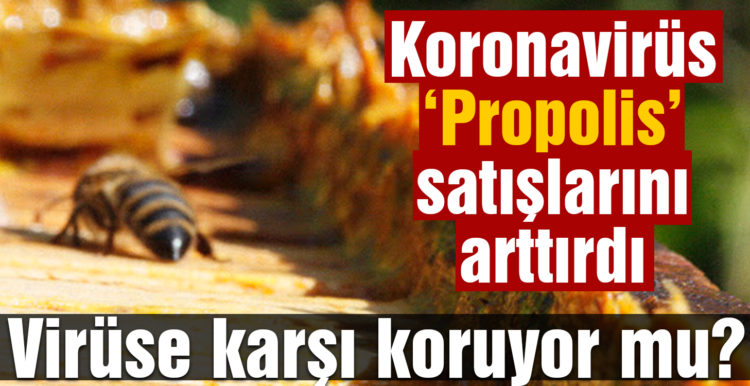 Koronavirüs propolis satışlarını arttırdı