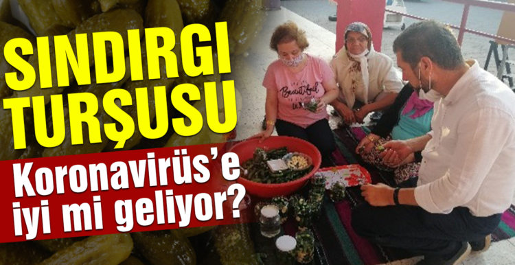 Korona virüs Sındırgı turşusuna ilgiyi arttırdı