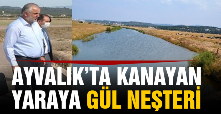 Ayvalık’ta kanayan yaraya “Gür” neşteri