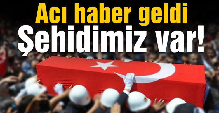 MSB acı haberi duyurdu! 1 asker şehit oldu