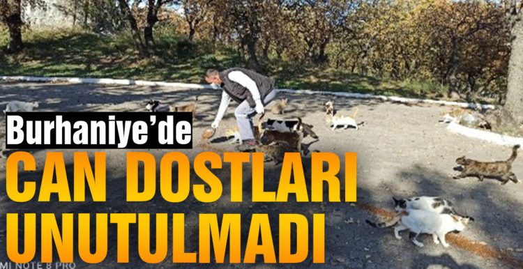 Burhaniye’de Belediye Can dostlarını unutmadı