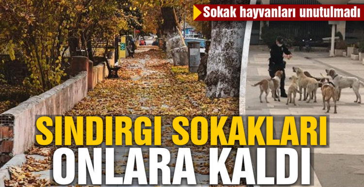 Sındırgı sokakları sokak hayvanlarına kaldı