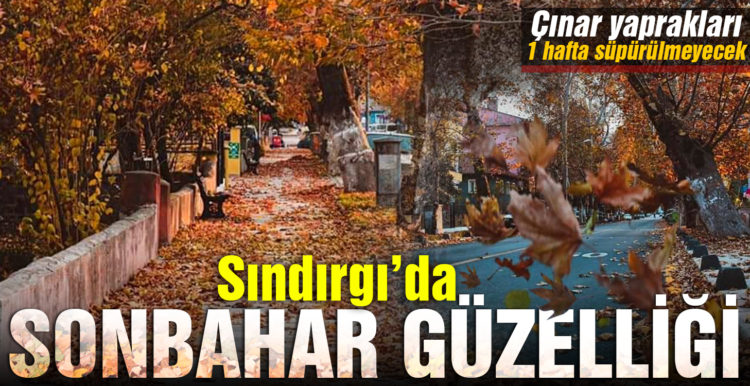 Sındırgı’da bir başka sonbahar