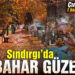 Sındırgı’da bir başka sonbahar