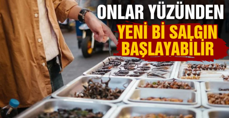 Yenilebilir böcekler nedeniyle yeni bir salgın başlayabilir!