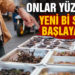 Yenilebilir böcekler nedeniyle yeni bir salgın başlayabilir!