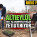ALTIEYLÜL TIBBİ VE AROMATİK BİTKİLER YETİŞTİRİYOR