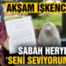 Genç kadın dehşeti yaşadı!