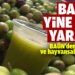 BAÜN’den tarımsal ve hayvansal üretim atağı