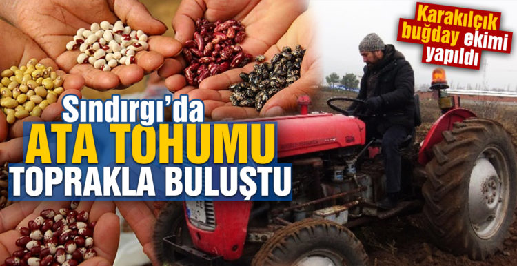 Sındırgı’da ata tohumu toprakla buluştu