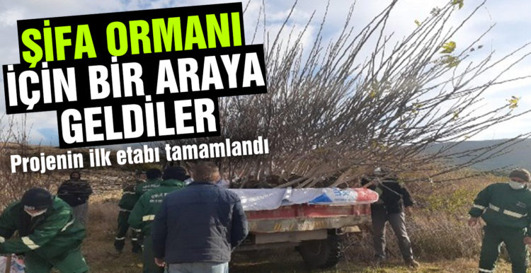 Şifa ormanı için bir araya geldiler