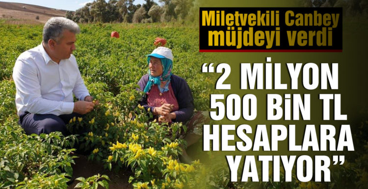 Canbey’den afetzede çiftçilere güzel haber