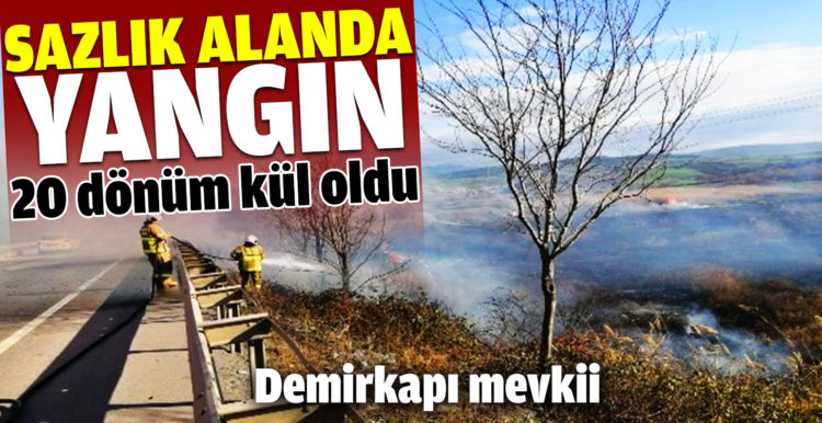 Susurluk’ta 20 dönüm sazlık alan yandı