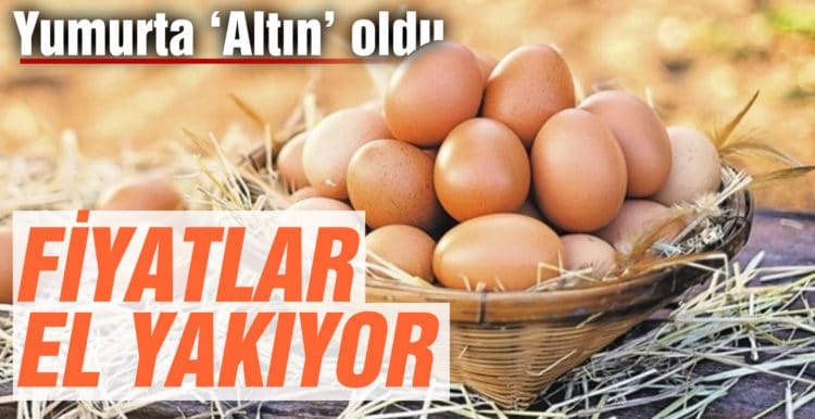 Yumurta ‘altın’ oldu