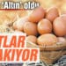 Yumurta ‘altın’ oldu