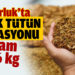 Susurluk’ta kaçak tütün operasyonu