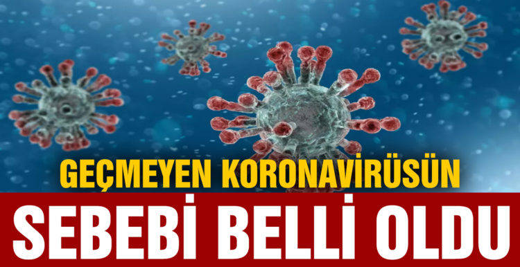 Geçmeyen koronavirüsün sebebi belli oldu