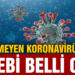 Geçmeyen koronavirüsün sebebi belli oldu