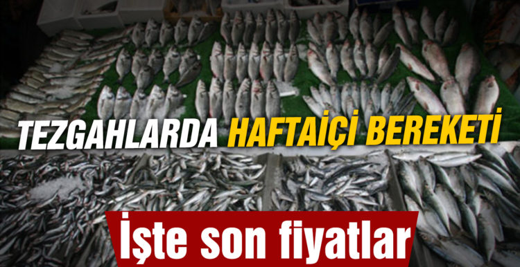 Balık tezgahlarında hafta içi bereketi