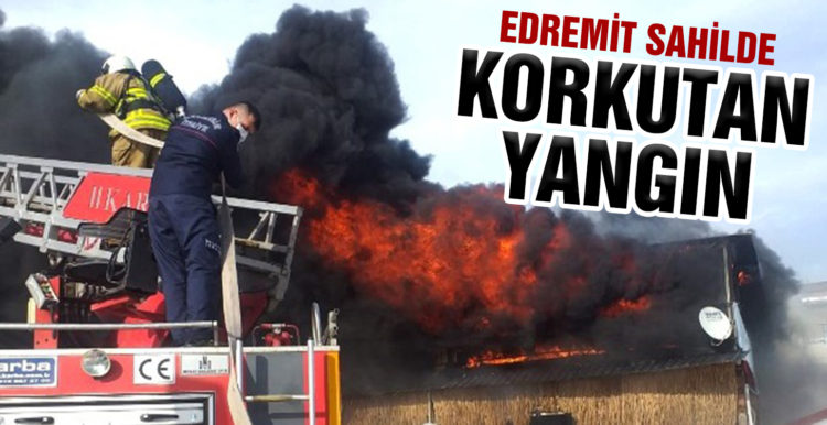Edremit sahilinde korkutan yangın