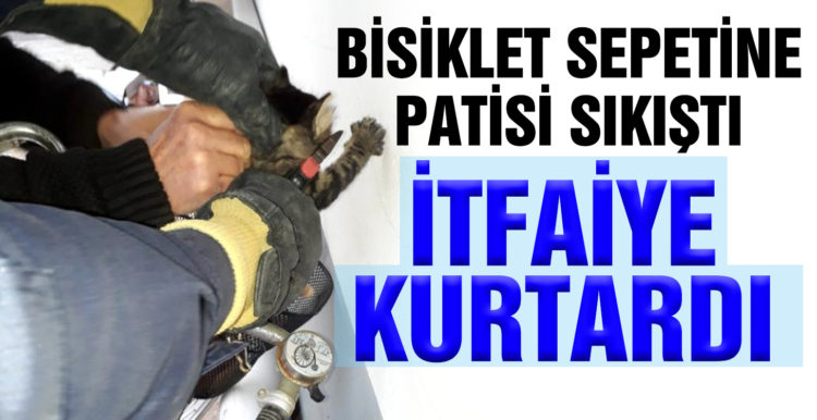 Bisiklet sepetine patisi sıkışan kediyi itfaiye kurtardı