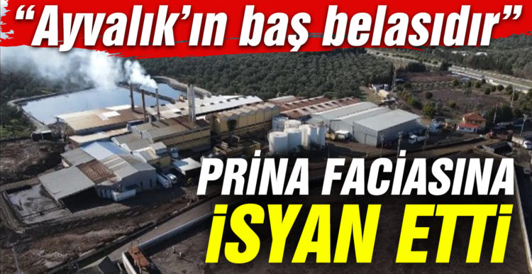 Prina faciasına isyan etti
