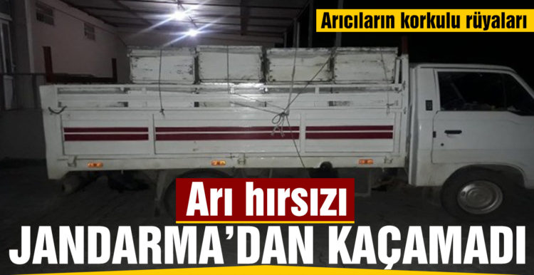 Burhaniye’de arı hırsızı jandarmadan kaçamadı