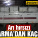 Burhaniye’de arı hırsızı jandarmadan kaçamadı