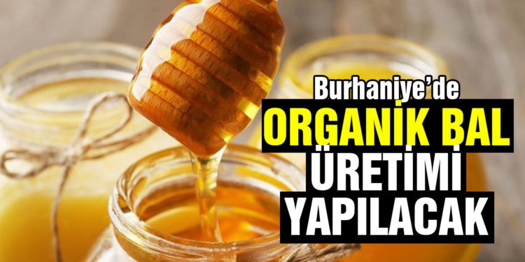 Burhaniye’de organik bal üretimi yapılacak