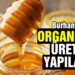 Burhaniye’de organik bal üretimi yapılacak