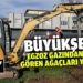 Egzoz gazından zarar gören ağaçlar yenileniyor