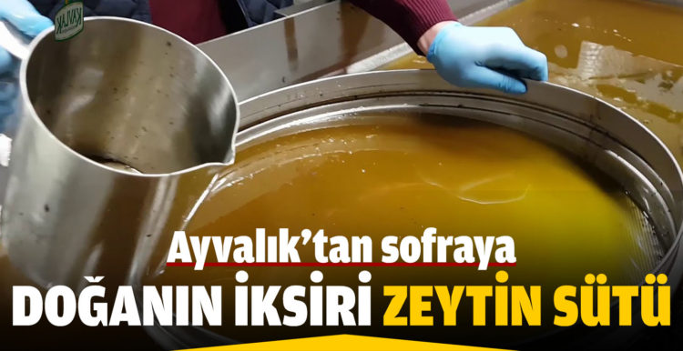 Doğanın iksiri zeytin sütü