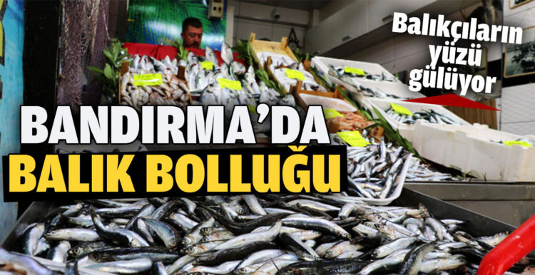 Bandırmalı balıkçıların yüzünü “balık bolluğu” güldürüyor