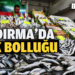 Bandırmalı balıkçıların yüzünü “balık bolluğu” güldürüyor