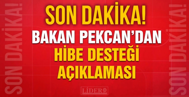 Bakan Pekcan’dan ‘hibe desteği’ açıklaması