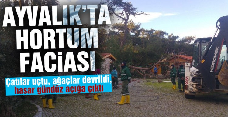 Hortum çatıları uçurdu, asırlık ağaçları da kırdı