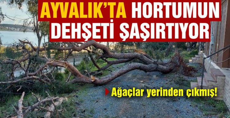 Ayvalık’taki hortumun dehşeti havadan görüntülendi