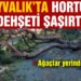 Ayvalık’taki hortumun dehşeti havadan görüntülendi