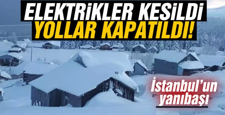 Hendek’te kar yağışı nedeniyle yayla yolları kapatıldı