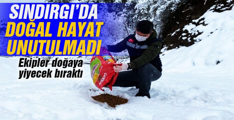 Sındırgı’da doğal hayat unutulmadı