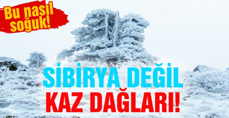 Sibirya değil Kazdağları