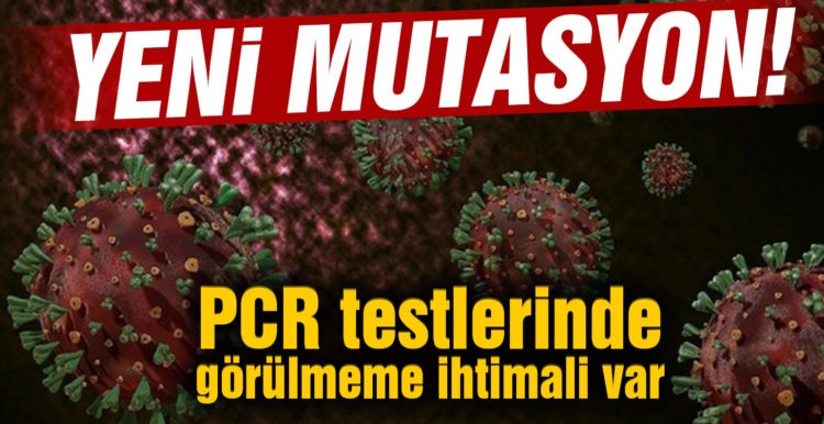 Finlandiya’da Covid-19’un enzim testlerinde gizlenebilecek yeni bir mutasyonu keşfedildi