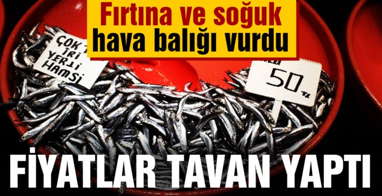 Fırtına ve soğuk hava balığı vurdu